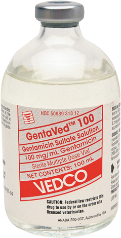 gentaved-100mgsmall.png