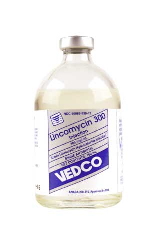 Lincomycin 300